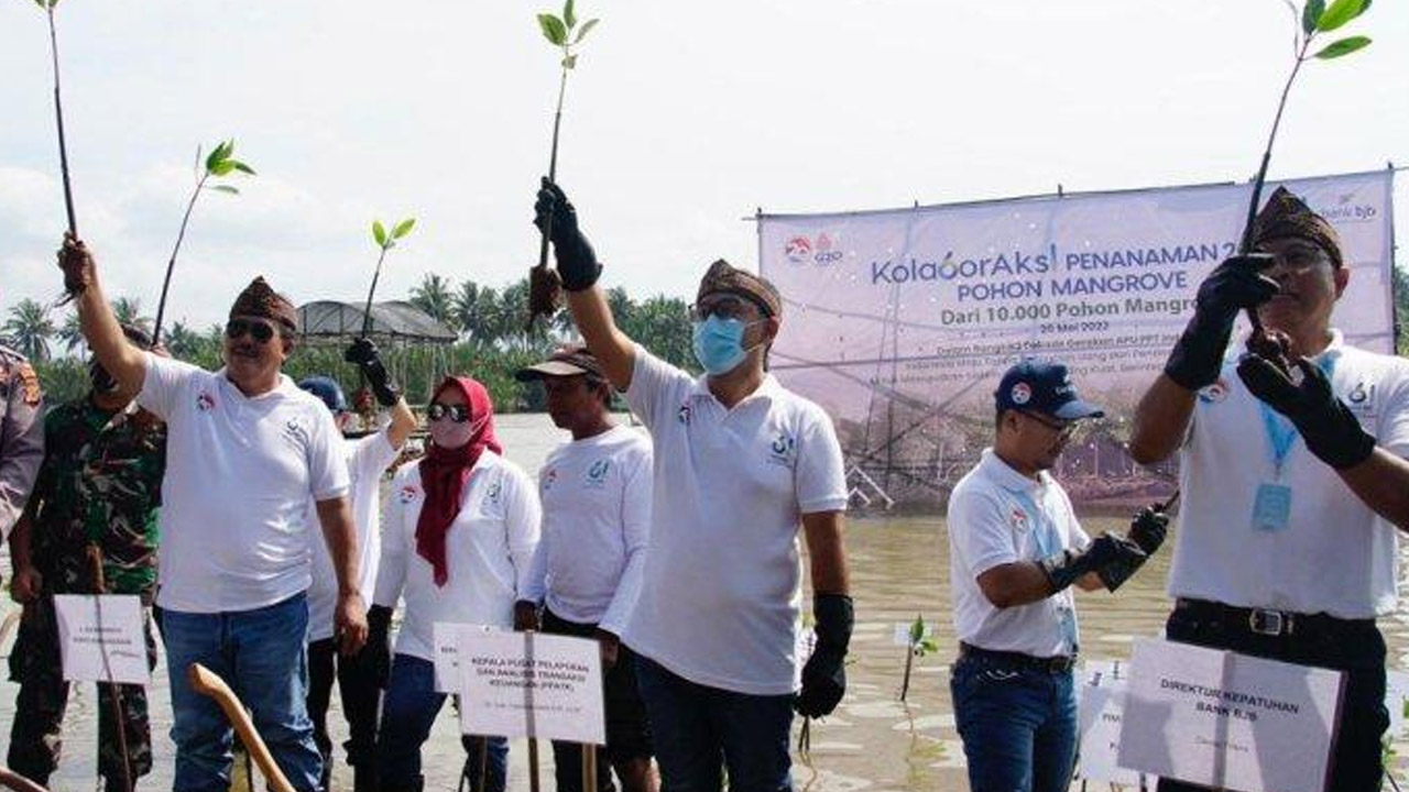 Tanam 2061 Pohon Mangrove, Bank BJB Dukung Indonesia Tanpa Pencucian Uang dan Pendanaan Teroris